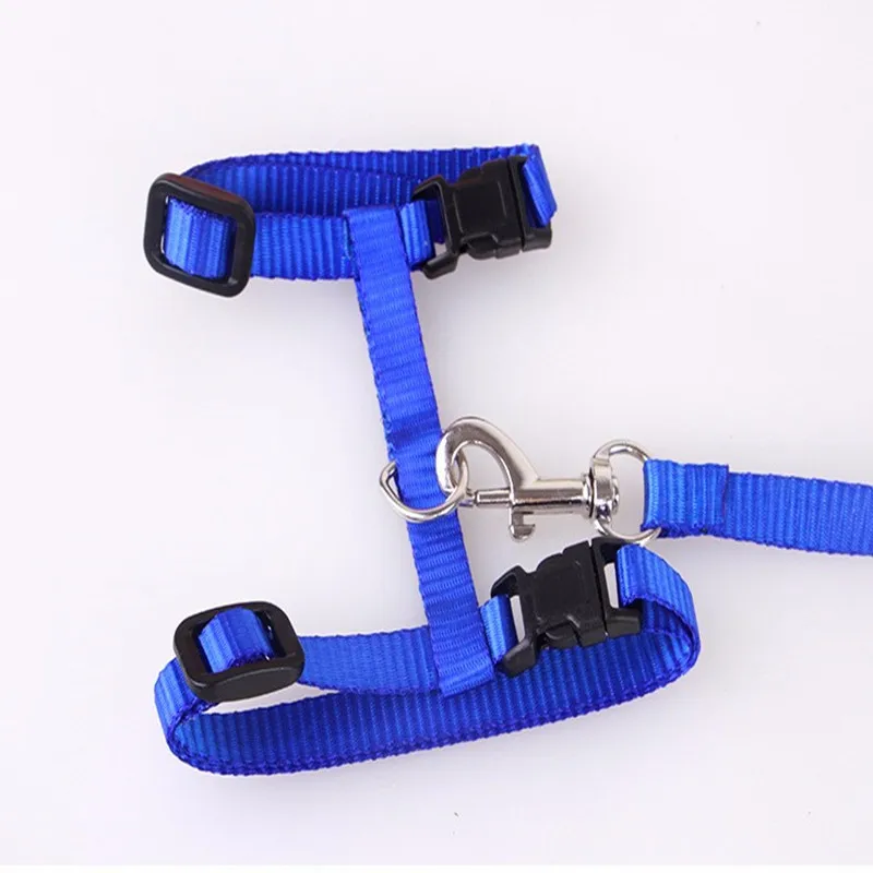 Pet Cat Collar Harness And Leash Adjustable Nylon Pet Traction Dog Kitten Halter Collar Cats Products For Cat Pet Harness Belt Pet Cat Collar Harness And Leash Adjustable Nylon Pet Traction Dog Kitten Halter Collar Cats Products For Cat Pet Harness Belt