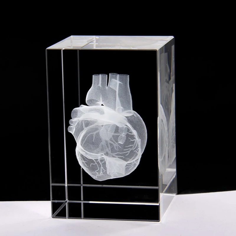 Décoration en forme de cœur très détaillée et complexe en cristal au plomb,  réaliste et anatomiquement