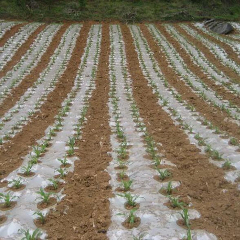 10m 0.006mm Mulch Film PE White Plastic Ground Cover Film Frost Protection Keep Warm Weed Control Garden Mulch Film 5