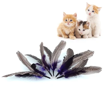 

5PCS Bird Feather Wand Cat Toy Interactive Toys Refill Home Gatos Gift Cat Feather Toys Feather Heads Replacements