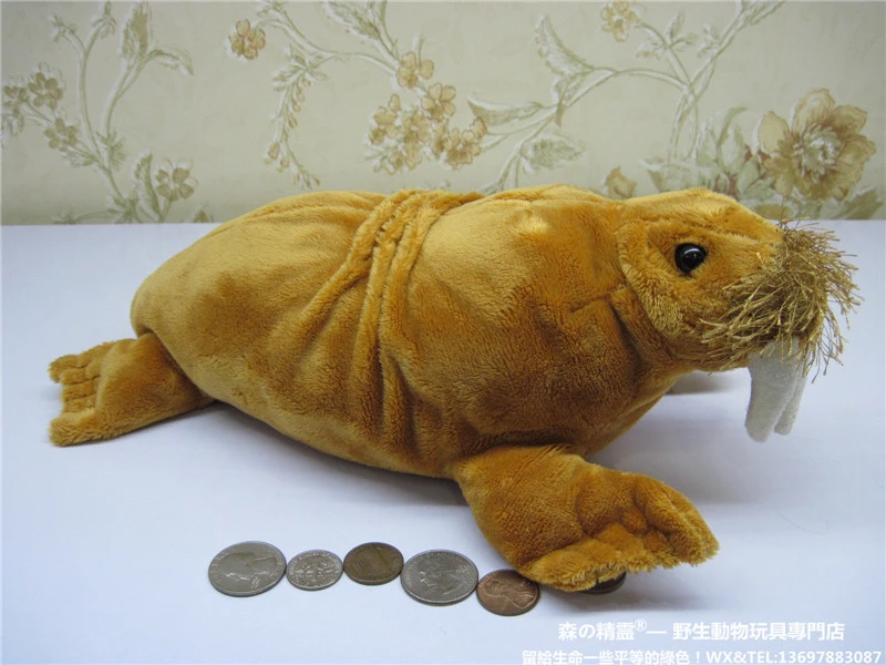 Poupee En Peluche Douce Pour Bebe Simulation D Animaux Marins Arctique Morse Grosse Aliexpress