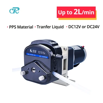 수영장 채굴 폐수 처리용 연동 펌프, 액체 이송 펌프, 물 펌프, OEM201, 2L/min, DC12V, 24V