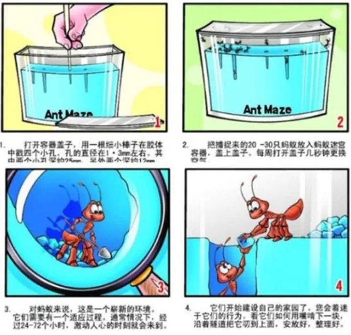 Ma yi wu DIY мини горшечные растения развивающая игрушка(Ant фермы малых) Wj10010