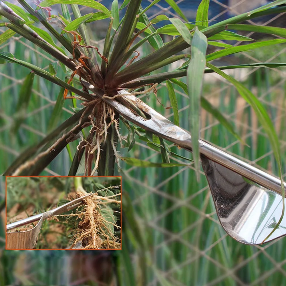 df601420ebff914531a458f5cb3426f6