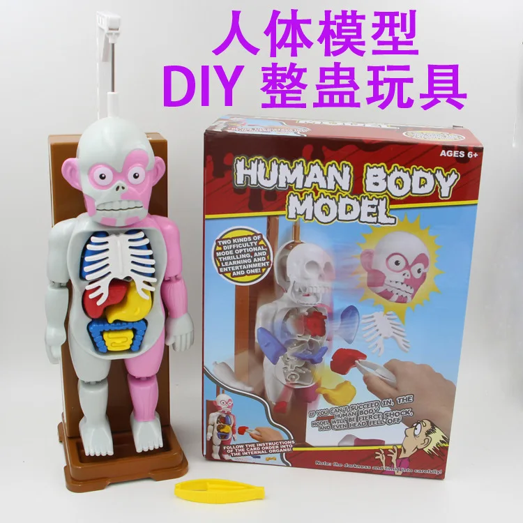 

Taiwan New Style 4-dmaster Assembled Model Educational Desktop Genuine Game Mannequin Trick Toys