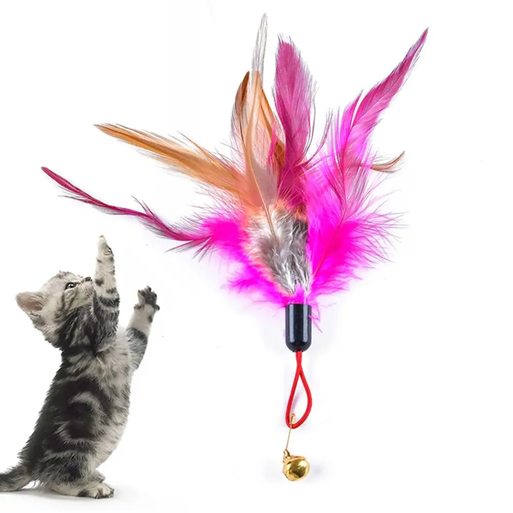 new Pet Cats Feather Bell Play Stick Teaser Replace Head Scratch Interactive Toy | Дом и сад