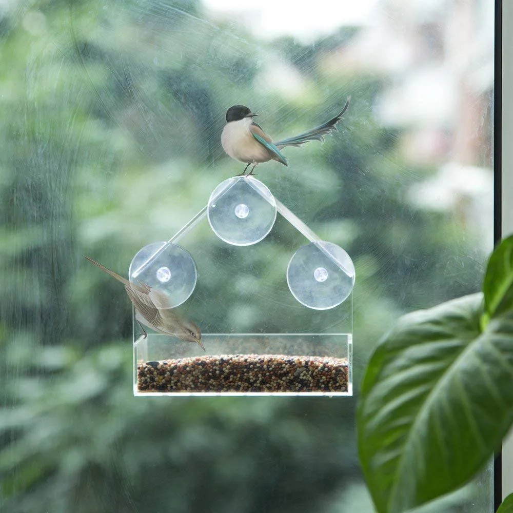 Bird Feeder Acrylic Transparent Window Viewing Bird Feeders Tray Birdhouse Pet Water Feeder Suction Cup Mount House Type Feeder|Bird Feeding| - AliExpress