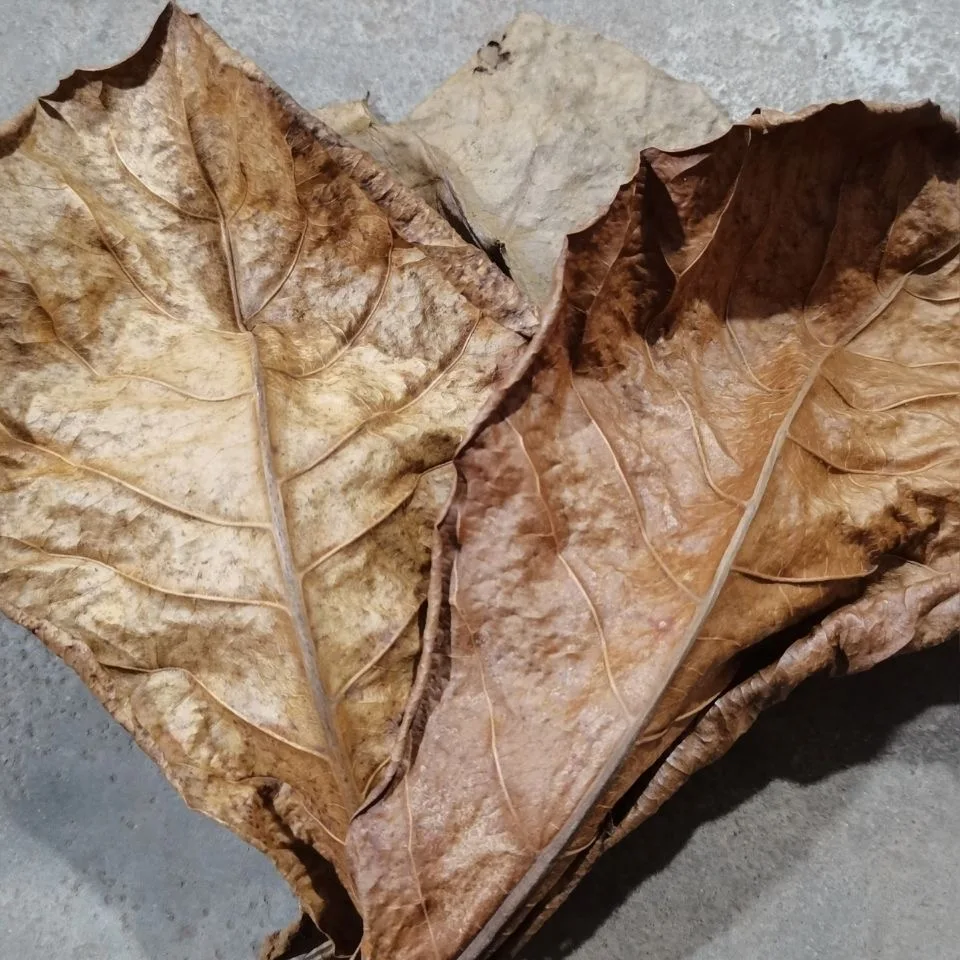 微信图片_20200829174807