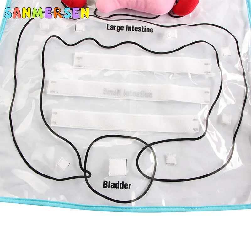  Educational Insights Toys For Children Anatomy Apron Human Body Organs Awareness Preschool Science  - 4000473171178