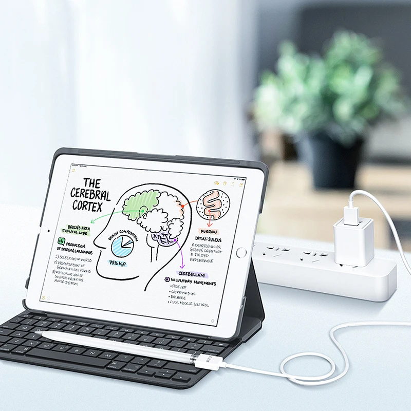 Зарядный кабель для Apple Pencil Adapter зарядный iPad Pro сенсорный стилус Удлинительный USB