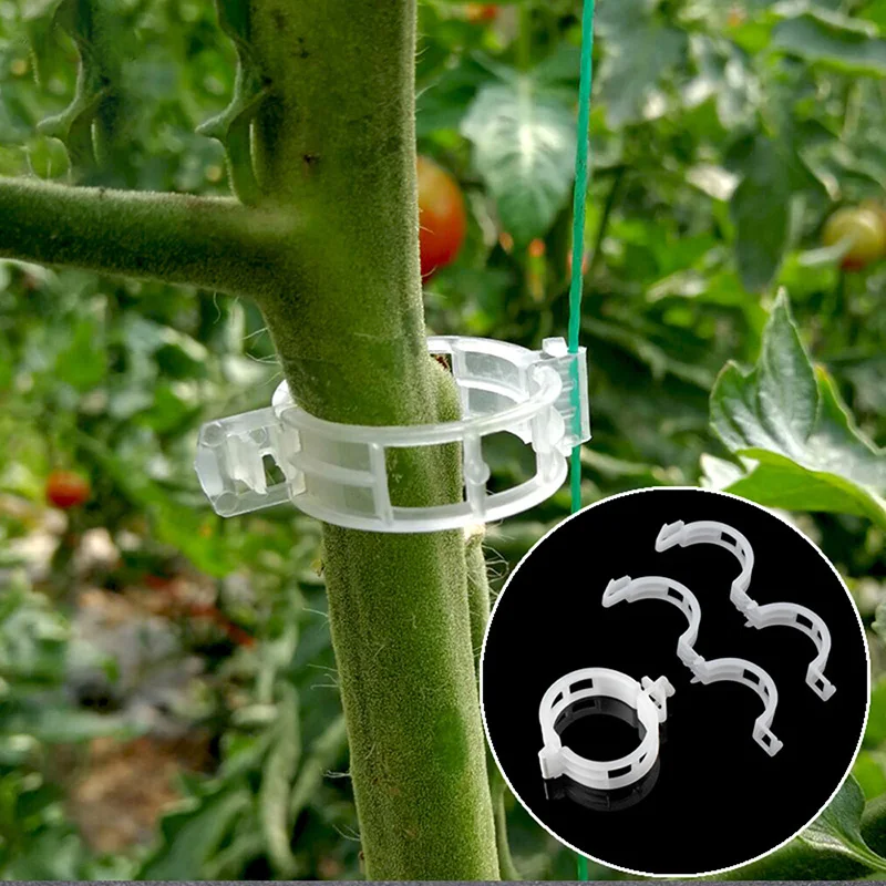 Reusable Garden Vegetable Tomatoes Grafting Clips Durable Plastic Bushes Support 