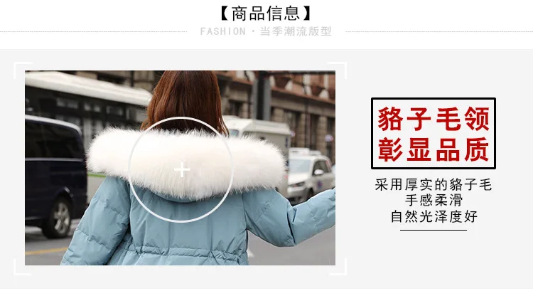Medium and Long Winter 2009 New Warming and Thickening Fashion Female Garment Korean Version Loose and Slim Outerwear