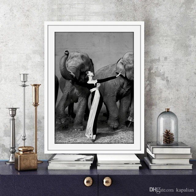 Richard Avedon Dovima With Elephants Evening Dress Art Poster