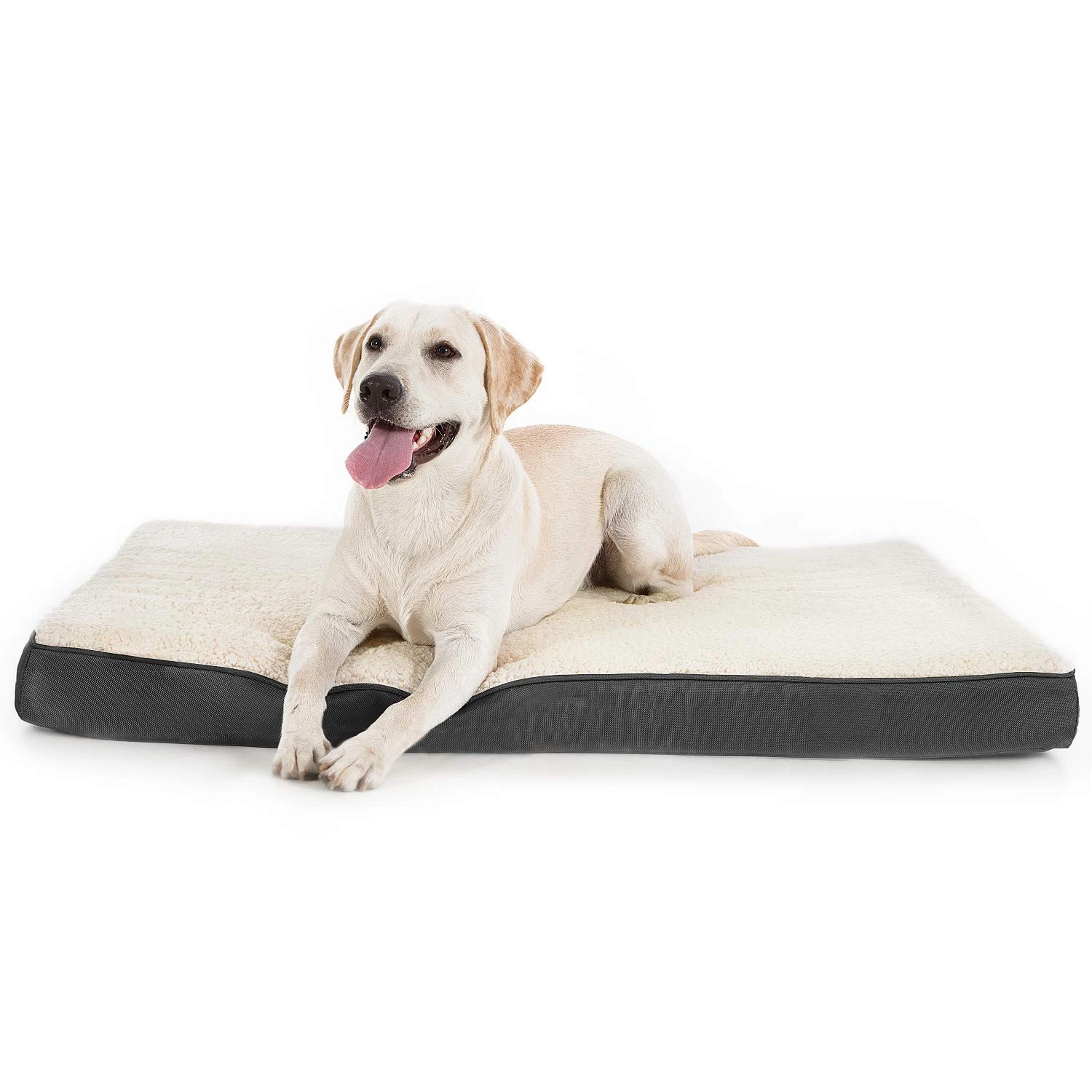 Foam dog mat Clearance