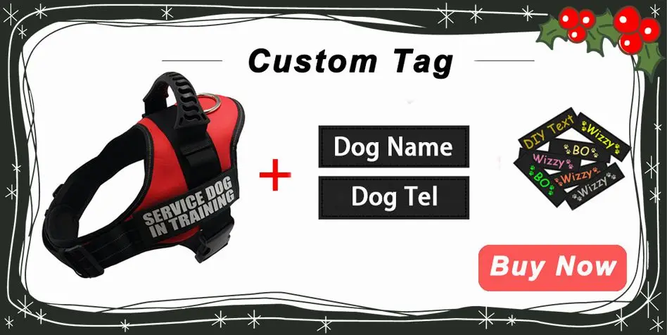86666_副本_副本