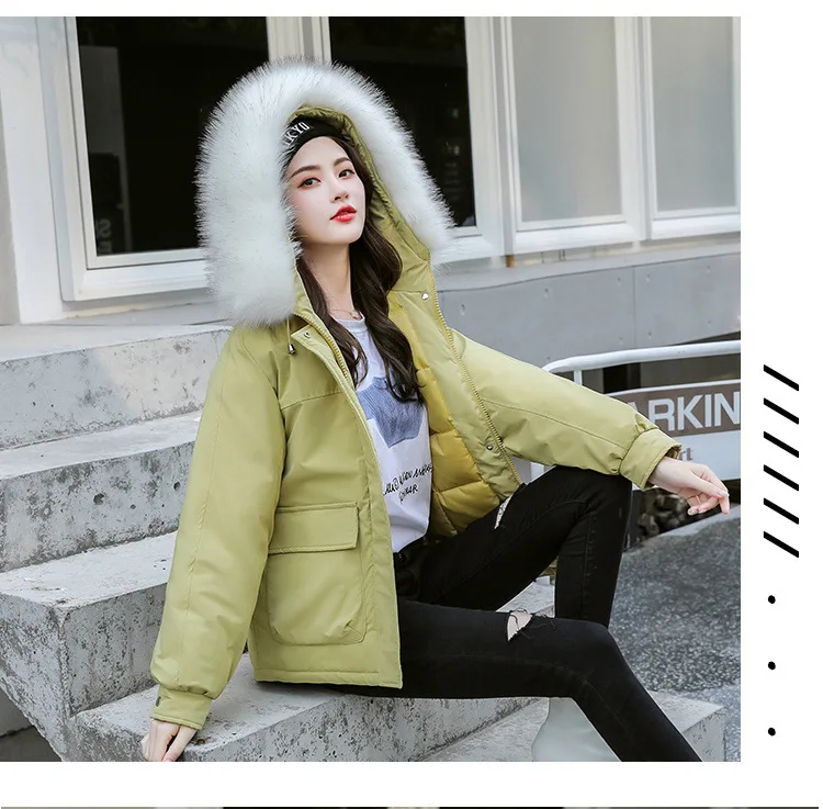 High-End Large Size Cotton Coat WOMEN'S Coat Autumn And Winter New Style Fashion Loose-Fit Slimming-Style Short Hooded Fur