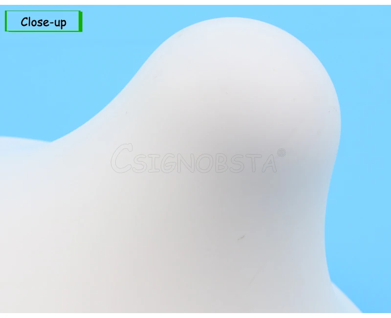 1100 (7)