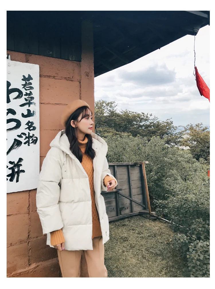 Новинка, зимнее свободное хлопковое пальто с капюшоном в Корейском стиле для фотосессии, Harajuku BF