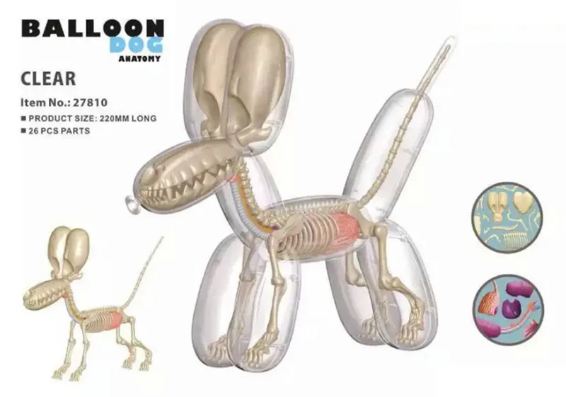 4D конструктор Джейсон Фрей, головоломка, игрушка, воздушный шар, собака, перспектива, кость, анатомия, украшение, собака, медицинское оборудование для обучения