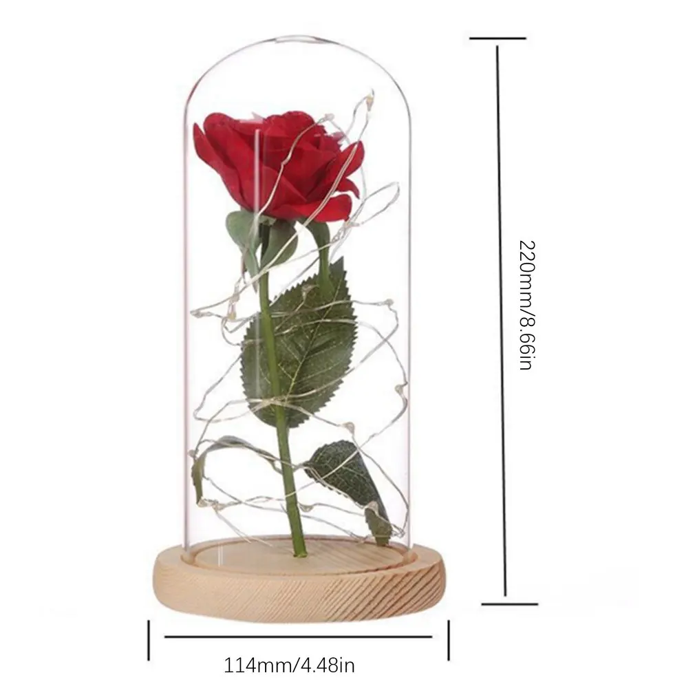 Party Wedding Valentine Gift Rose In Glass Dome Forever Rose Red Rose Preserved Rose Belle Rose Special Romantic Gift Party Wedding Valentine Gift Rose In Glass Dome Forever Rose Red Rose Preserved Rose Belle Rose Special Romantic Gift