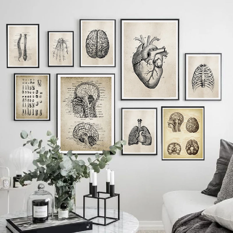 Brain Frame Art: The Ultimate Guide to Neuroscience-Inspired Wall Decor ...