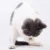 Горячая Чистая Натуральная Кошачья Мята Pet Cat Toy Suit Safety Molar Зубная Паста Ветка Чистка Зубов Silvervine Cat Snacks Sticks Зоотовары