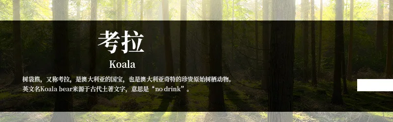 Детская модель статические Твердые дикие животные модель пластиковые игрушки коала украшения набор