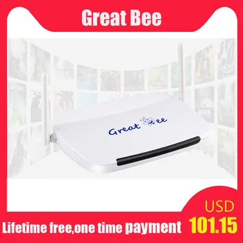 

2020 Bestseller Great bee Arabic IPTV Box,No Monthly and Yearly fee Free Forever,Arabic/Africa/English/French hot channels