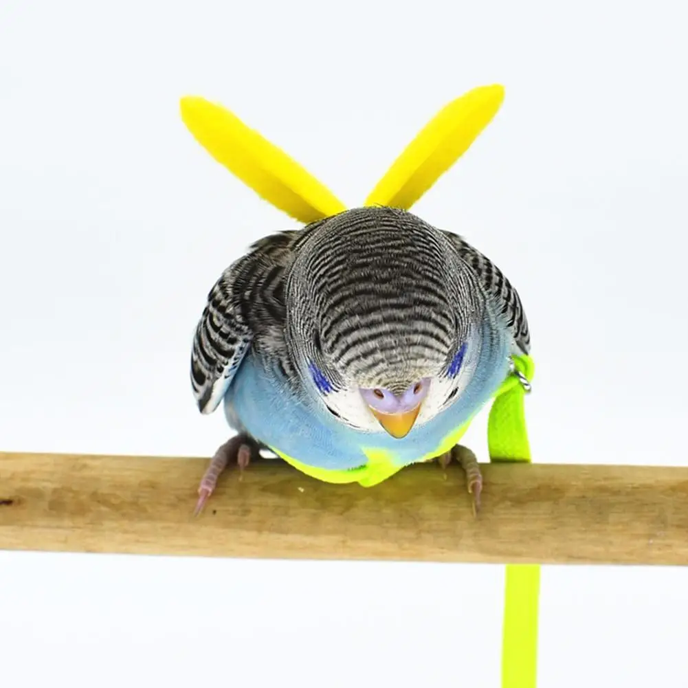 Pet попугай птица шлейка и поводок летающие плетеные ремни открытый тренировочный Тяговый канат для попугаев Cockatiel маленьких птиц