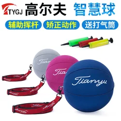 TTYGJ Golf Wisdom Ball Swing Practice Aids Corrective Trainer Arm Corrector  Golf Accessories  Golf Balls