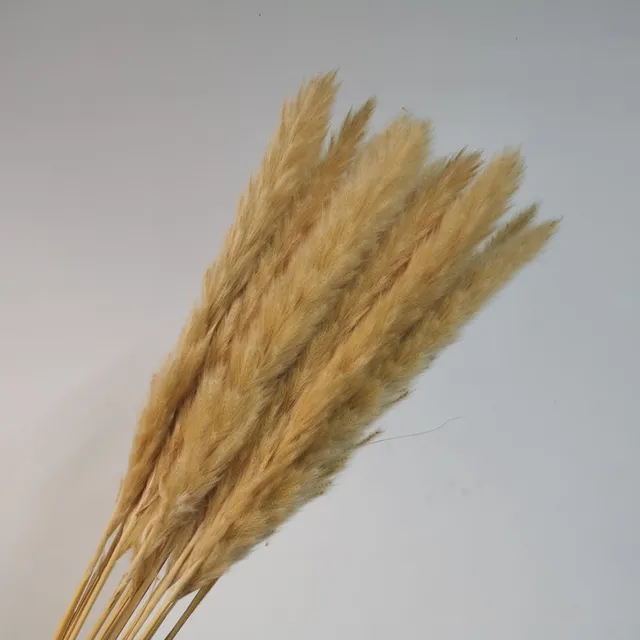 15Pcs Dried Reed Flower Arrangement Natural Pampas Grass For  Modern Home Decoration Party Backdrops Wedding Supplies Autumn