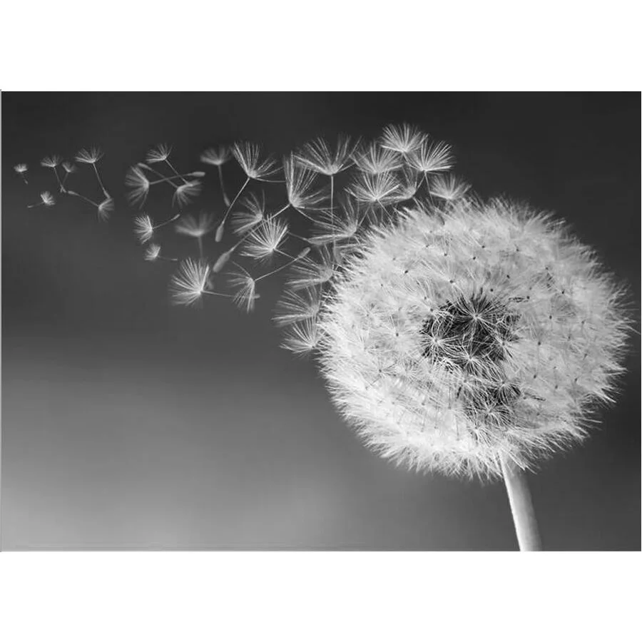 Diamond Painting Full Round &quotDandelion&quot 3D Embroidery Cross Stitch Rhinestone 5D DIY Mosaic Decor Black White Art | Дом и сад