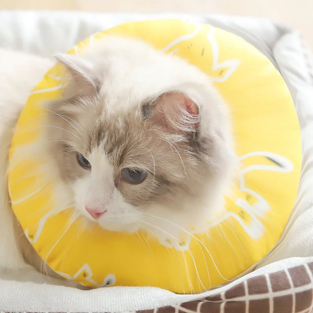 307641_no-logo_307641-2-01-g