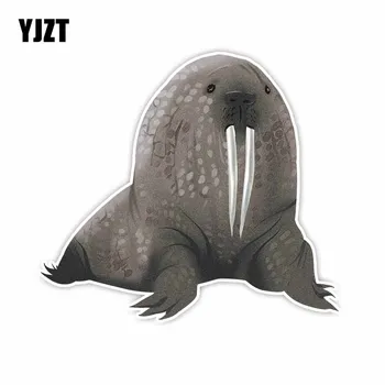 

YJZT 13.5CM*15.5CM Automotive Products Animal Walrus PVC Car Sticker Decal Accessories C29-0919