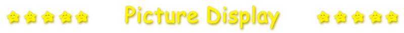 picture display.png