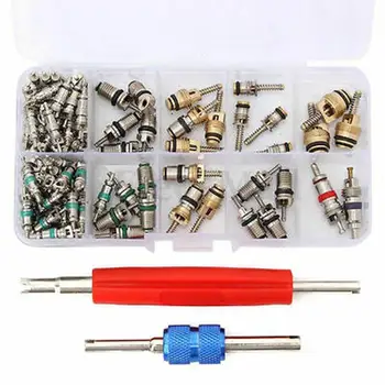 

100+2PCS Valve Cores with Double Head Dismantling Installer Remover Repair Tool Box Valve Core Assortment Kit