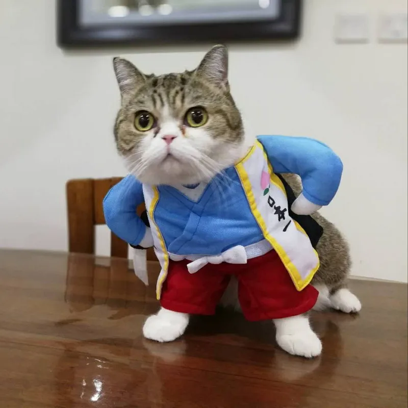 Hc513a3af50bc42ccbc8871eeac32a9b2O