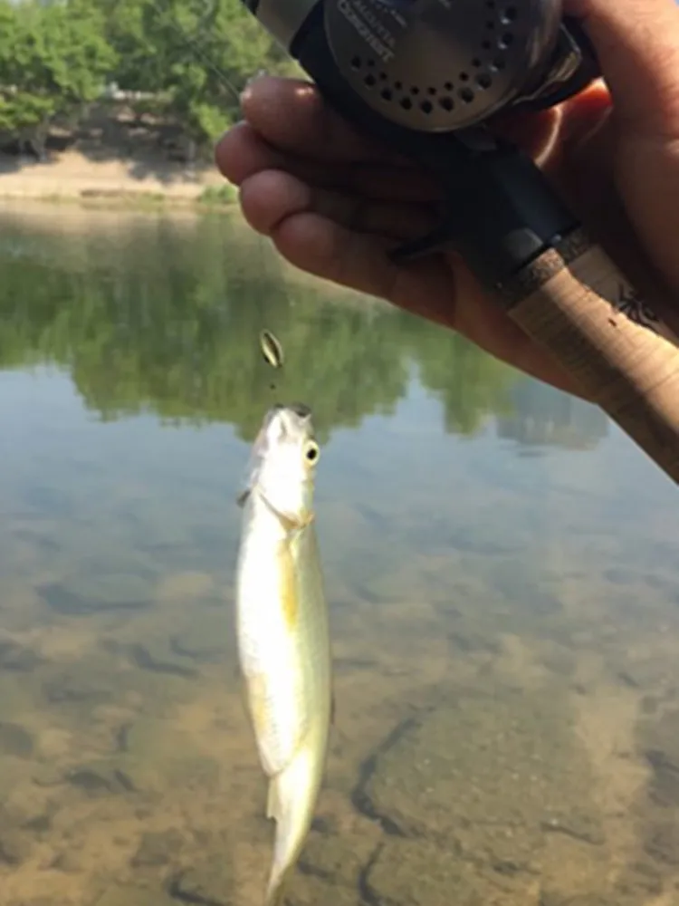 

Small Summer Lure Sequin White Tie Fishing Group Sunflower Seed Snakehead Rod Fly Help Cast Maker Lure Creek