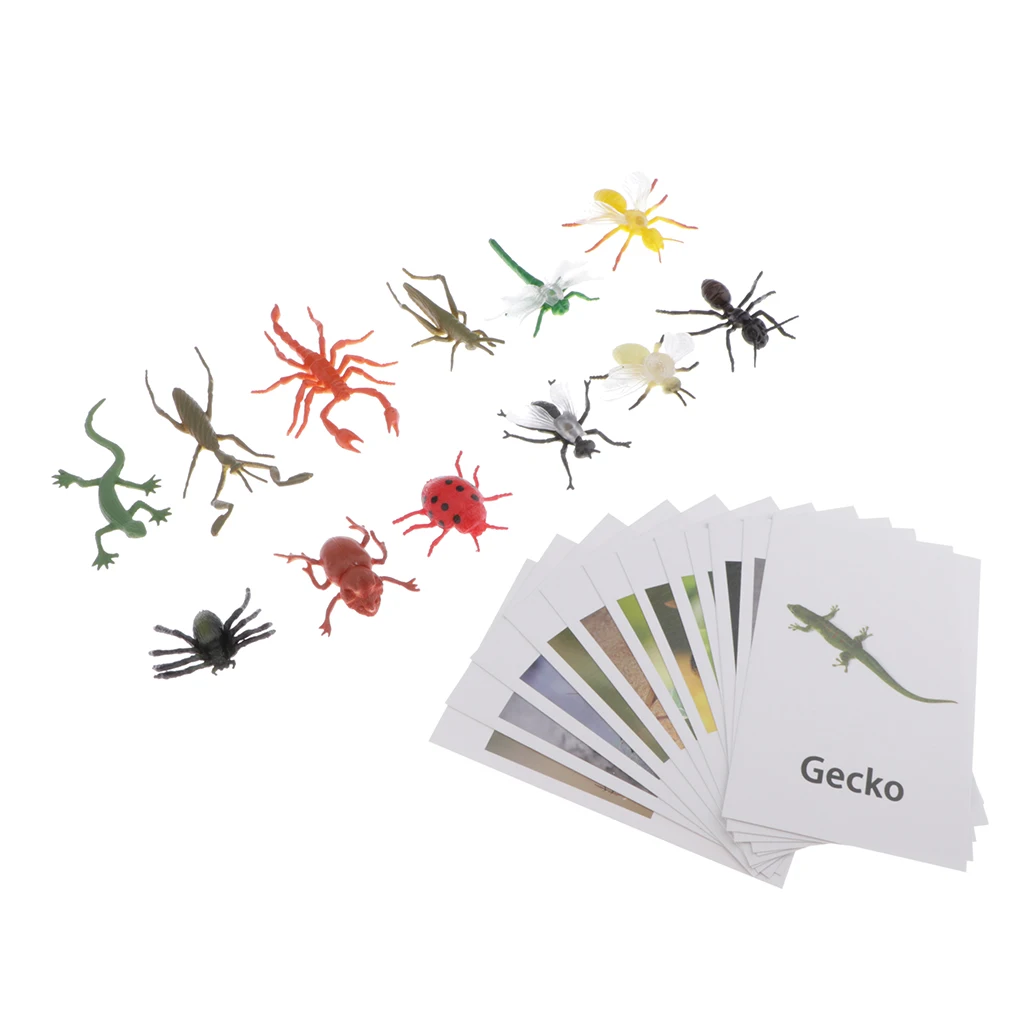Montessori Insect Animal Match - Miniature Insects Figurines (12pcs) with Matching Cards (12pcs) - 2 Montessori Learning Toy