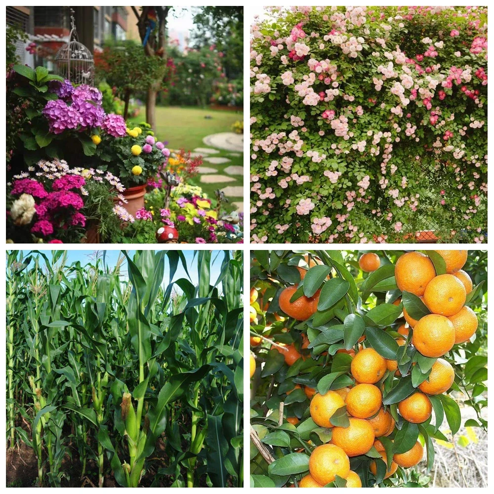 光影魔术手1拼图