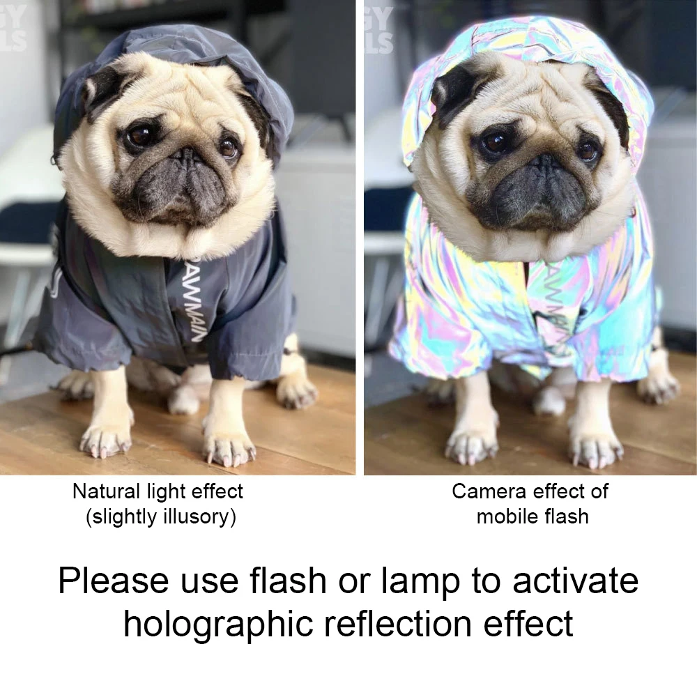 15982-0ceca4.jpg