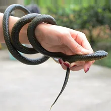 rubber snake price