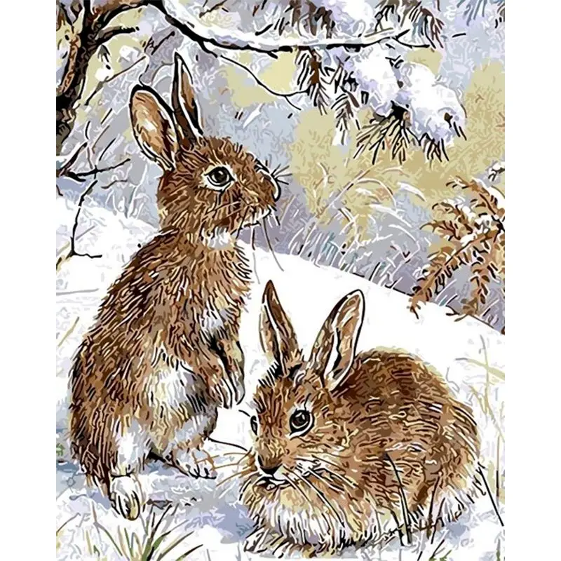 

Painting By Numbers DIY Oil New Frame 40x50 50x65 60x75cm Male And Female Rabbits Acrylic Abstract For Decor Kids & Adult Gift