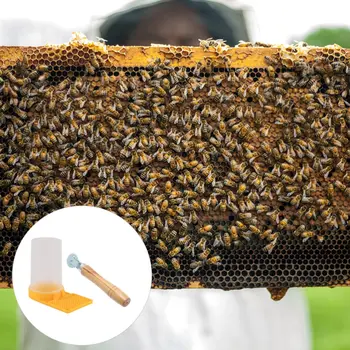 

2Pcs Bee Supplies Bee Water Feeder Bee Food Feeder Beekeeping Tool Bee Drinking Box For Bee Outdoors Beehive Garden