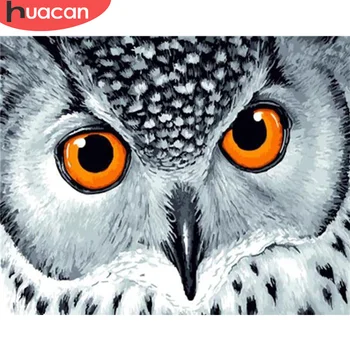 

HUACAN Paint By Number Owl Hand Painted Painting Art Gift Drawing On Canvas DIY Pictures By Numbers Animal Kits Home Decor