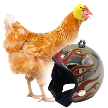 

chicken Helmet Pets Helmet Small Pet Chicken Hard Hat Bird Quail Hat Headgear Key buckle photography Props protect head 4X4.5cm