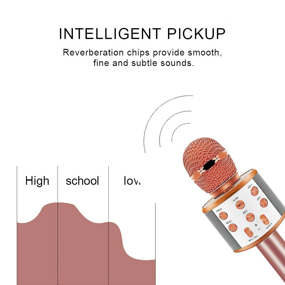 Ceny WS858 profesjonalny bezprzewodowy mikrofon do karaoke głośnik pojemnościowy Microfono z torbą Radio Bluetooth Studio nagrywanie Mic PK WS 858