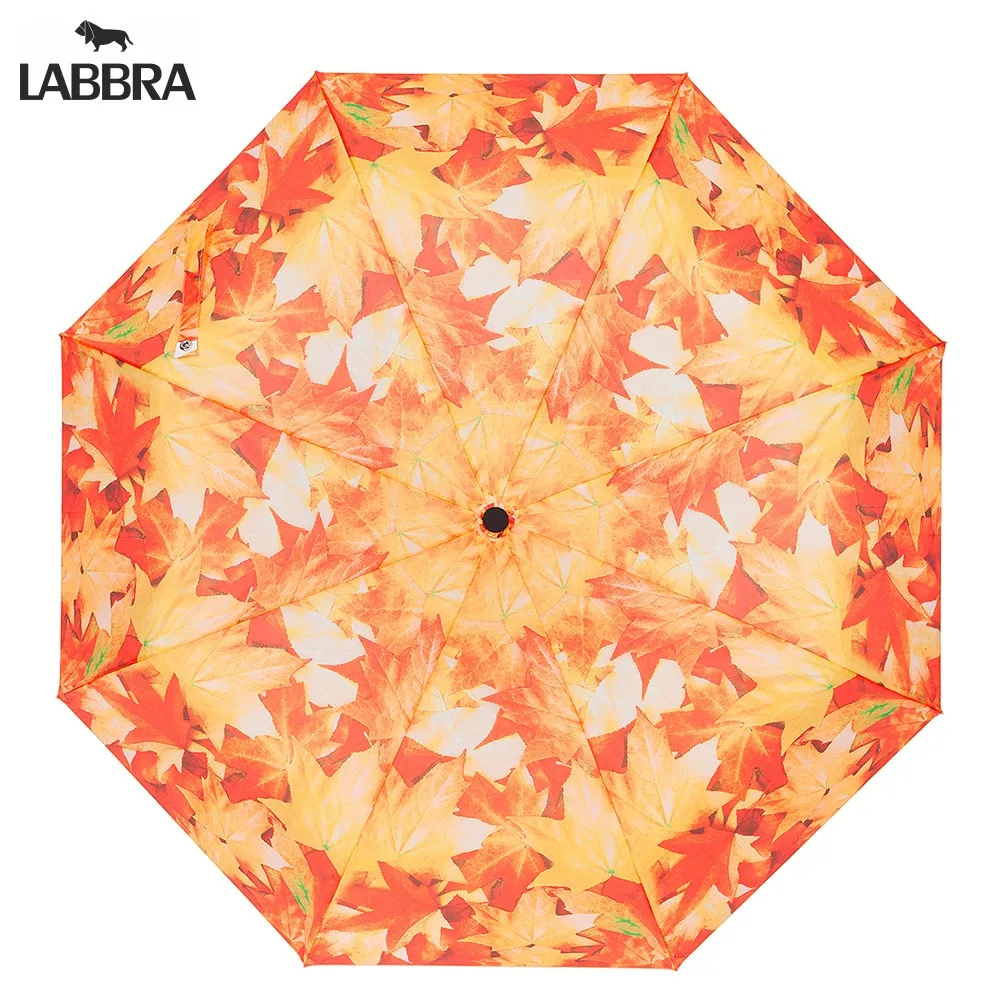 Зонт Labbra женский А3 05 LT244|Зонтики| |