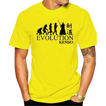 

2020 NEW T Shirt Kendo ken do evolution Japanese Hieroglyph kung fu 100% cotton gray