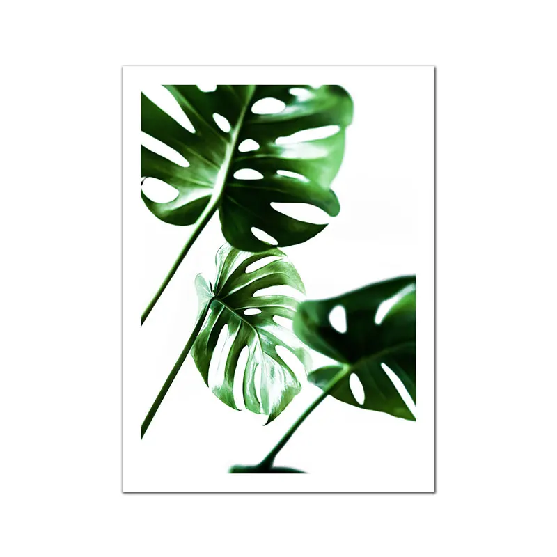 Monstera-Deliciosa-Poster-Plant-Flower-Leaf-Canvas-Painting-Nordic-Wall-Art-Pictures-For-Living-Room-Modern (4)